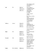 Konspekts 'Terminelementi latīņu valodā', 3.