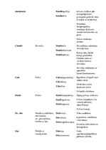 Konspekts 'Terminelementi latīņu valodā', 4.
