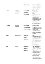 Konspekts 'Terminelementi latīņu valodā', 5.
