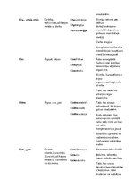 Konspekts 'Terminelementi latīņu valodā', 6.
