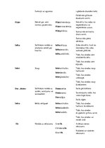 Konspekts 'Terminelementi latīņu valodā', 8.