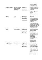 Konspekts 'Terminelementi latīņu valodā', 9.