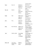 Konspekts 'Terminelementi latīņu valodā', 10.