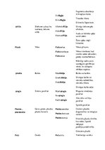 Konspekts 'Terminelementi latīņu valodā', 12.