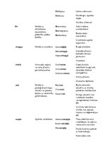 Konspekts 'Terminelementi latīņu valodā', 13.