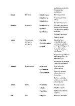 Konspekts 'Terminelementi latīņu valodā', 14.