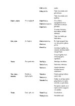 Konspekts 'Terminelementi latīņu valodā', 15.