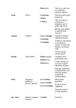 Konspekts 'Terminelementi latīņu valodā', 16.