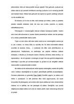 Referāts 'Mākslas definīcijas problēma dažādās teorijās', 2.