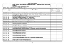 Prakses atskaite 'Grāmatvedības prakses atskaite', 32.