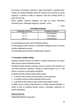 Referāts 'SIA "X" finanšu rādītāju un finanšu stāvokļa novērtējums par 2002.gadu', 26.