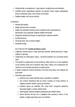 Konspekts 'Organizācijas klientu apkalpošanas stratēģija', 5.