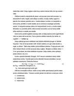 Referāts 'Ziemassvētku eglīšu audzēšana', 7.