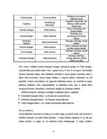 Referāts 'Ziemassvētku eglīšu audzēšana', 13.