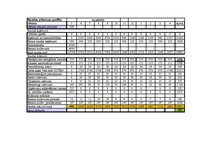 Paraugs 'Peļņas un zaudējumu aprēķins, naudas plūsma, kredītatmaksas grafiki', 3.