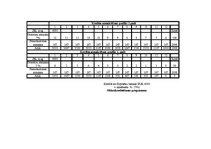 Paraugs 'Peļņas un zaudējumu aprēķins, naudas plūsma, kredītatmaksas grafiki', 4.