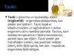 Prezentācija 'Tauki', 2.