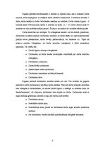 Referāts 'Uzņēmuma lokālo normatīvo darba tiesisko aktu atbilstība LR darba likumdošanai', 8.