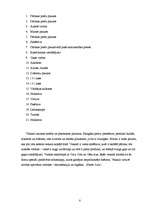 Prakses atskaite 'Prakses atskaite tirgzinībās', 6.