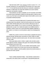 Prakses atskaite 'Prakses atskaite tirgzinībās', 13.