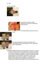 Paraugs 'Laboratorijas darbs "Osmoze"', 2.