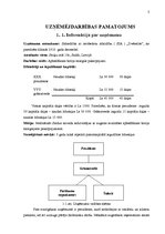 Biznesa plāns 'SIA "Dvēselīte" biznesa plāns', 3.