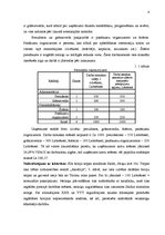 Biznesa plāns 'SIA "Dvēselīte" biznesa plāns', 4.