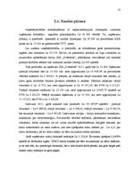 Biznesa plāns 'SIA "Dvēselīte" biznesa plāns', 10.