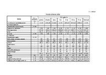 Biznesa plāns 'SIA "Dvēselīte" biznesa plāns', 11.