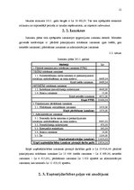 Biznesa plāns 'SIA "Dvēselīte" biznesa plāns', 12.