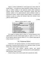 Biznesa plāns 'SIA "Dvēselīte" biznesa plāns', 13.