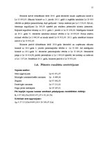 Biznesa plāns 'SIA "Dvēselīte" biznesa plāns', 15.