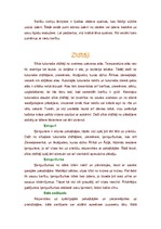 Konspekts 'Dzīvnieki tuksnesī', 8.