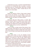 Konspekts 'Dzīvnieki tuksnesī', 10.