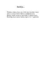 Konspekts 'Vizuālās mākslas žanri', 11.