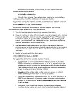 Konspekts 'Apgaismības laikmets', 2.