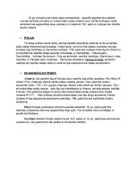 Konspekts 'Apgaismības laikmets', 8.