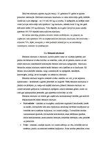 Referāts 'Atkritumu problēmas Latvijā', 6.