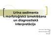 Prezentācija 'Urīna sedimenta morfoloģiskā izmeklēšana un diagnostiskā interpretācija', 1.