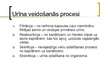 Prezentācija 'Urīna sedimenta morfoloģiskā izmeklēšana un diagnostiskā interpretācija', 5.
