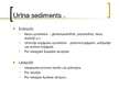 Prezentācija 'Urīna sedimenta morfoloģiskā izmeklēšana un diagnostiskā interpretācija', 10.