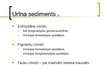 Prezentācija 'Urīna sedimenta morfoloģiskā izmeklēšana un diagnostiskā interpretācija', 14.