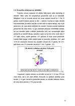 Referāts 'Aborts, aborta veidi, neauglība, aborta sekas', 20.