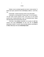 Referāts 'Cesijas ierobežojumi', 3.