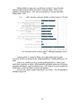 Diplomdarbs 'Latvijas biznesa inkubatoru nozīmīgums jauno uzņēmēju attīstības procesā', 42.