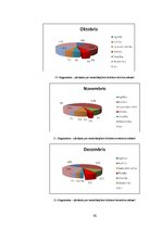 Referāts 'Žurnālistikas funkcijas un principi laikraksta "Talsu Vēstis" 2009.gada titullap', 30.