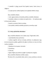 Referāts 'Akciju sabiedību finansēšanas iespējas', 13.