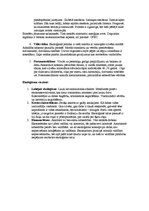 Konspekts 'Anarhisms un ekoloģisms', 5.