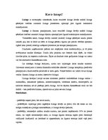 Referāts 'Līzings', 3.