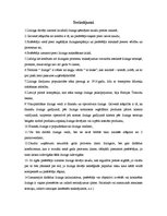 Referāts 'Līzings', 13.